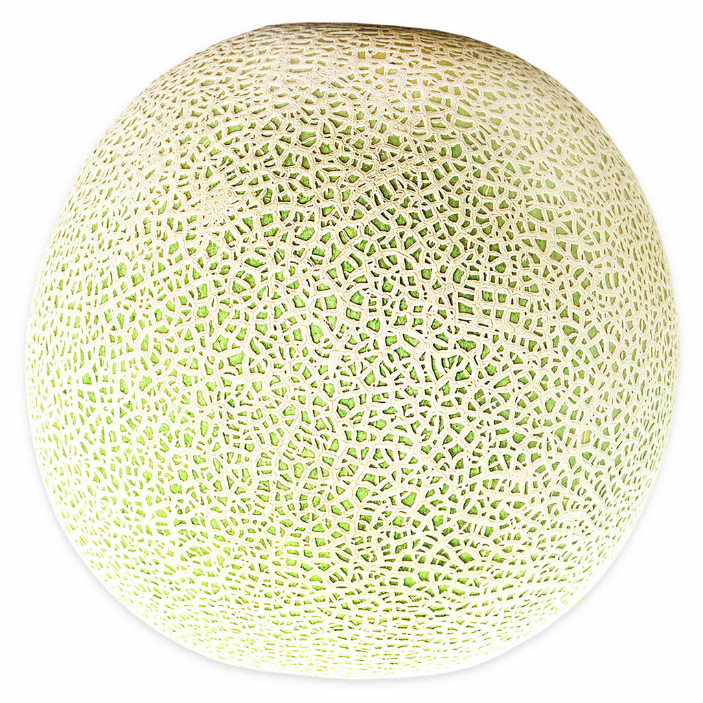 Fresh Cantaloupe Each