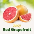 Del Monte No Sugar Added Red Grapefruit 52 Oz Jar