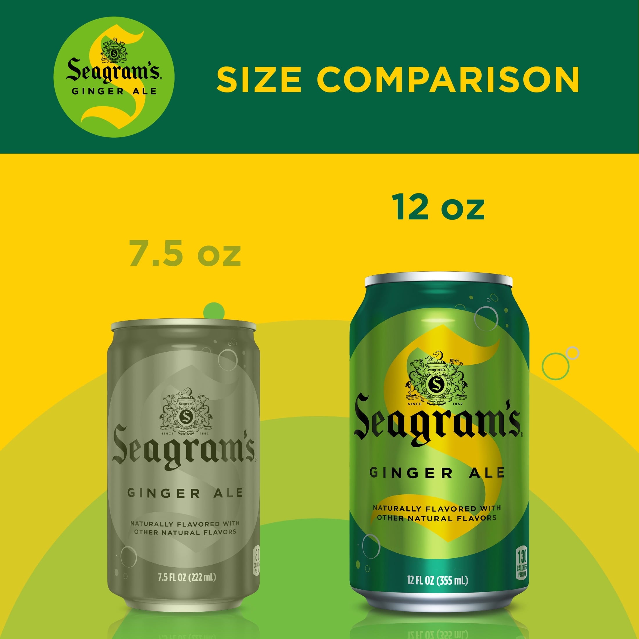 Seagram's Ginger Ale Soda Pop Fridge Pack Cans 12 Fl Oz 12 Pack