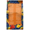 Wyman's Mango Berry Blend Frozen 48 Oz