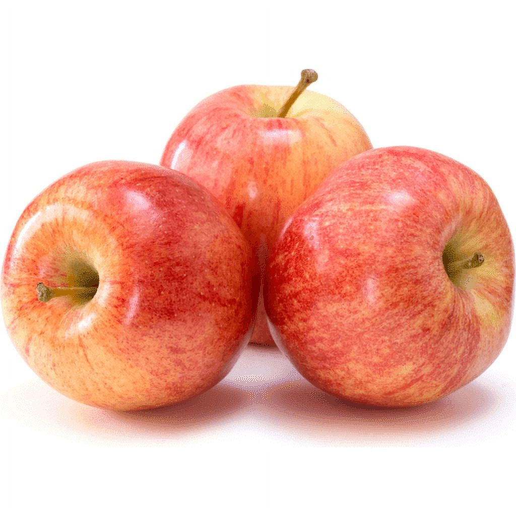 Fresh Gala Apple Each
