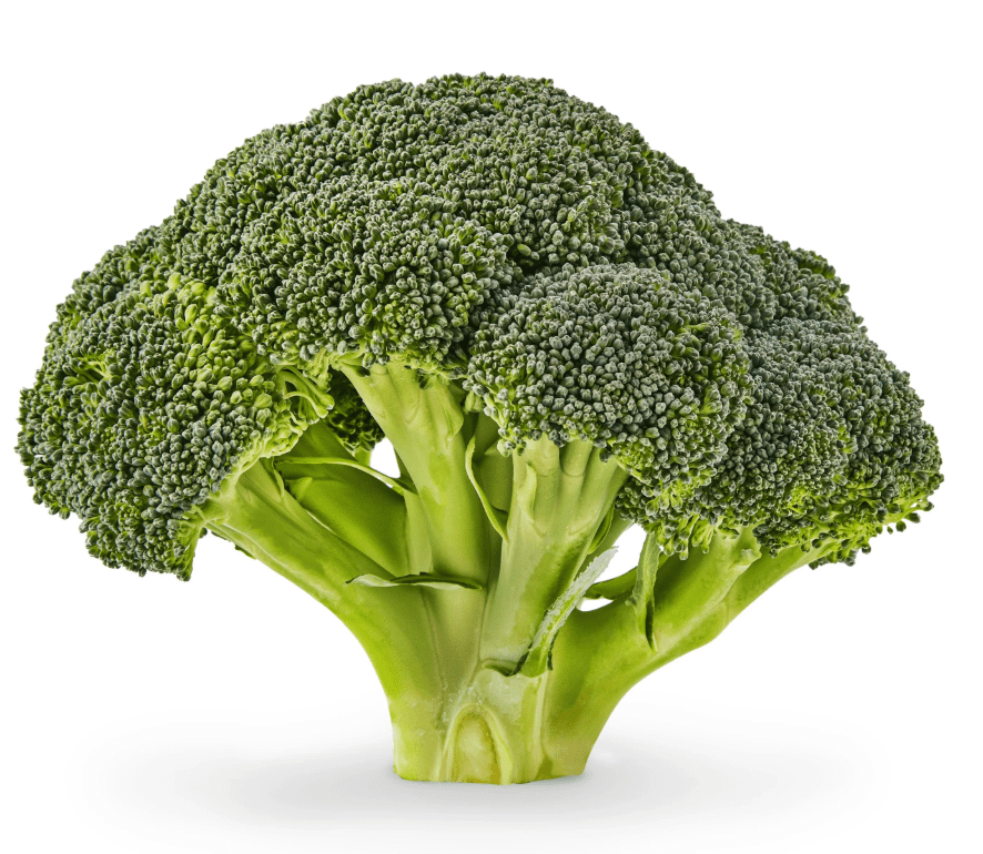 Fresh Whole Green Broccoli Crowns 1 Each