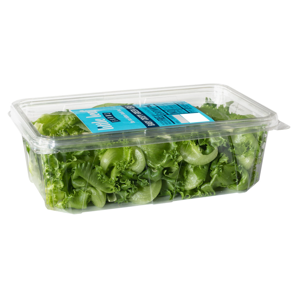 Baby Crispy Green Leaf Lettuce 8 Oz