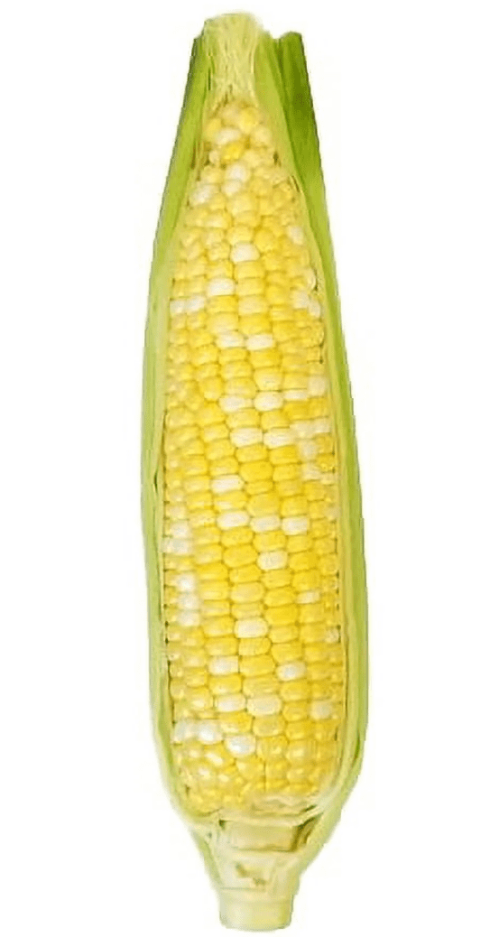 Fresh Sweet Corn On The Cob Each