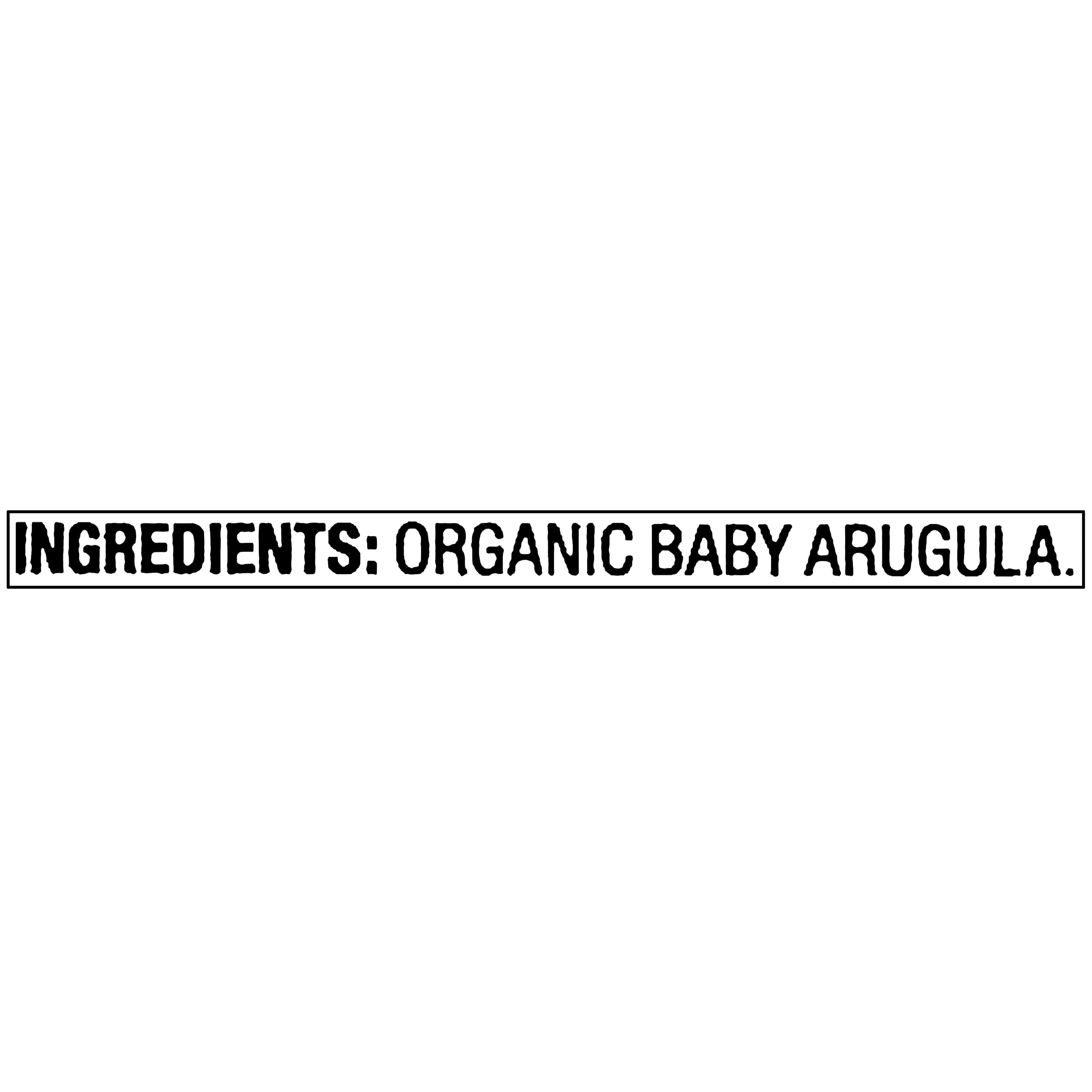 Organic Baby Arugula 5 Oz