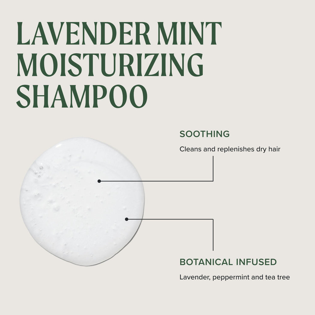 Paul Mitchell Tea Tree Lavender Mint Moisturizing Shampoo Soothes Replenishes Dry Hair 10.14 oz