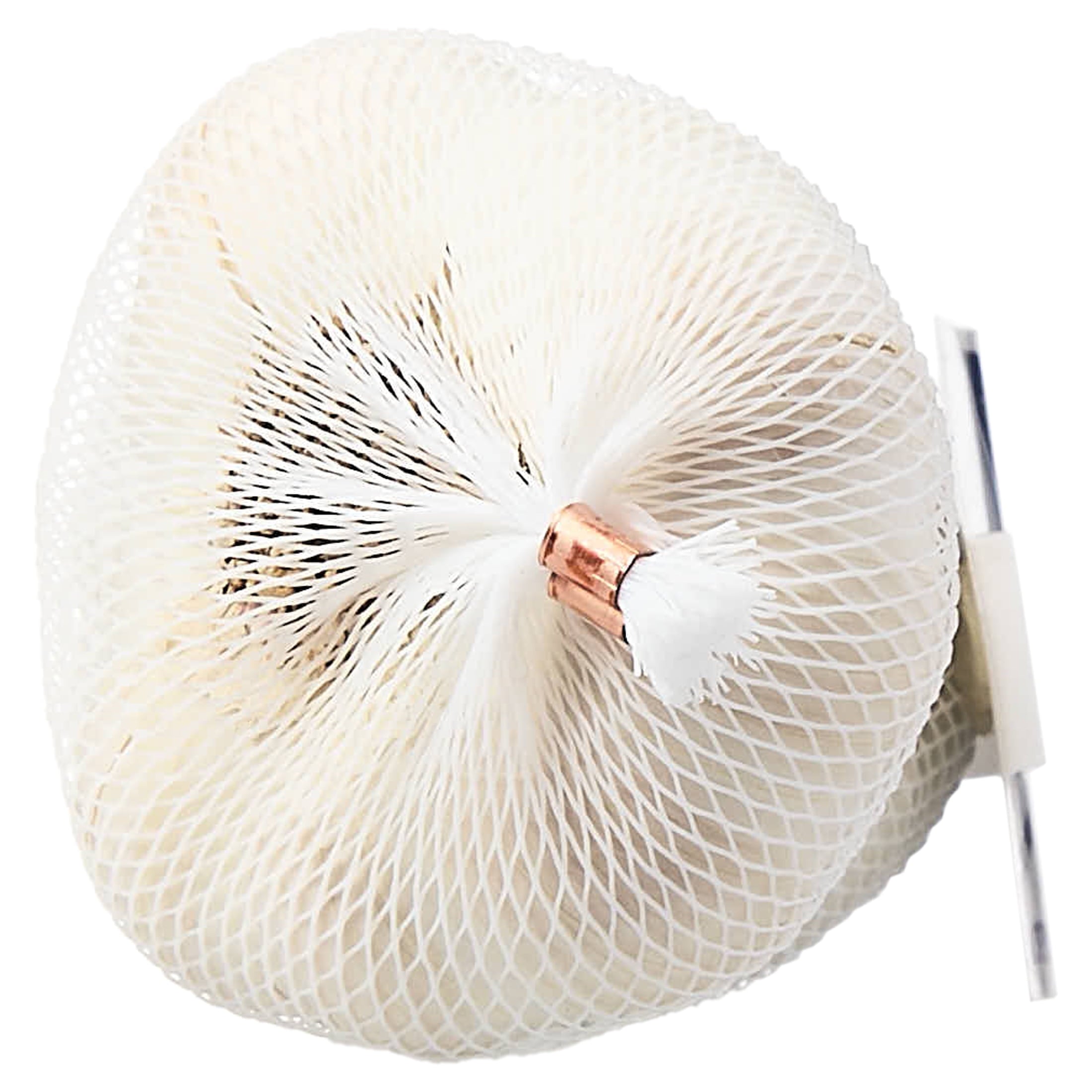 Fresh Garlic Sleeve 3 Count