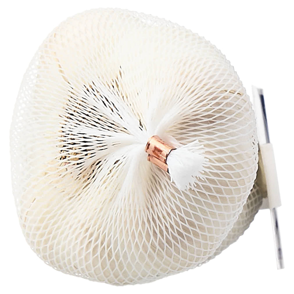 Fresh Garlic Sleeve 3 Count