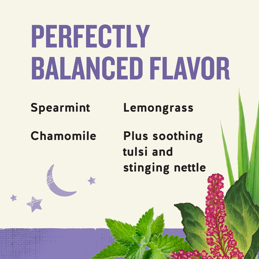 Celestial Seasonings Sleepytime Wellness Sinus Soother Caffeine-Free Herbal Tea Bags 1.2 oz 20 Count