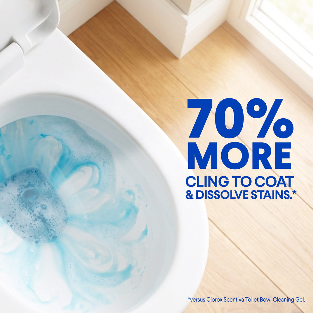 Clorox Heavy Duty Toilet Bowl Cleaner Stain Remover Arctic Clean 24 fl oz 2 Pack