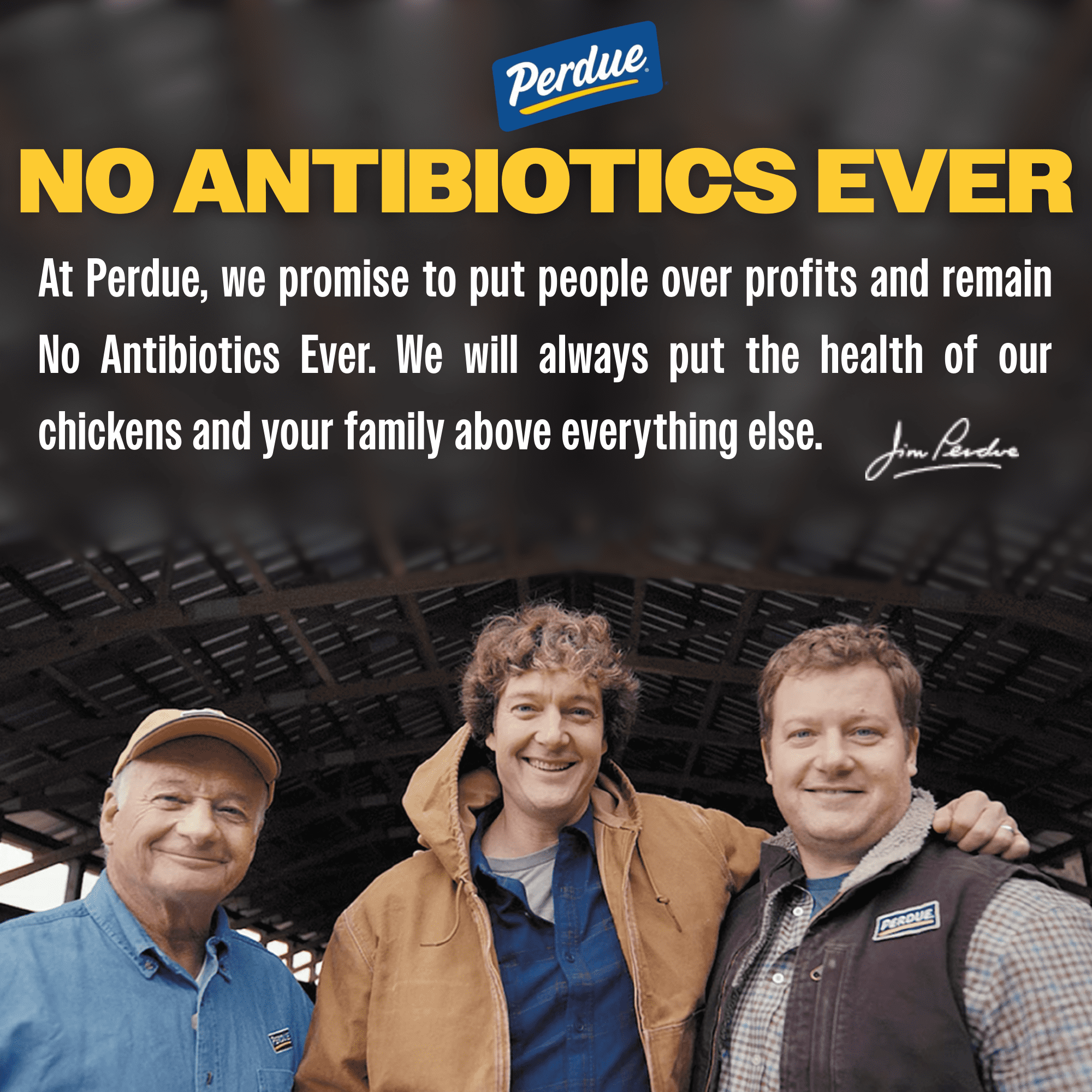 Perdue No Antibiotics Ever Frozen Breaded Chicken Breast Patties 28.8 Oz