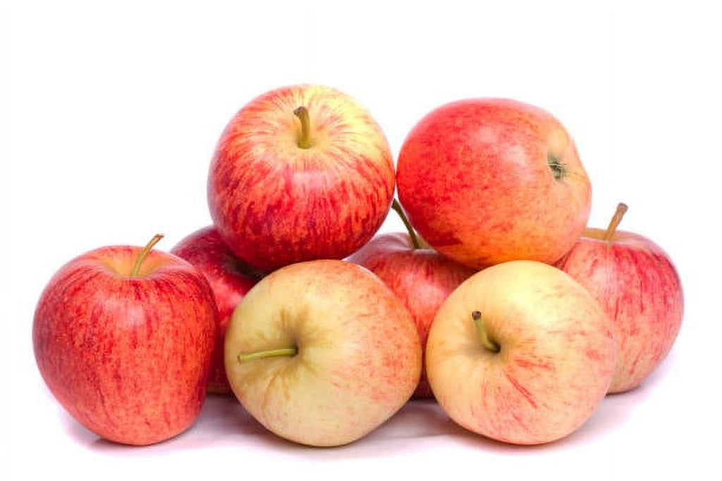Fresh Gala Apple Each