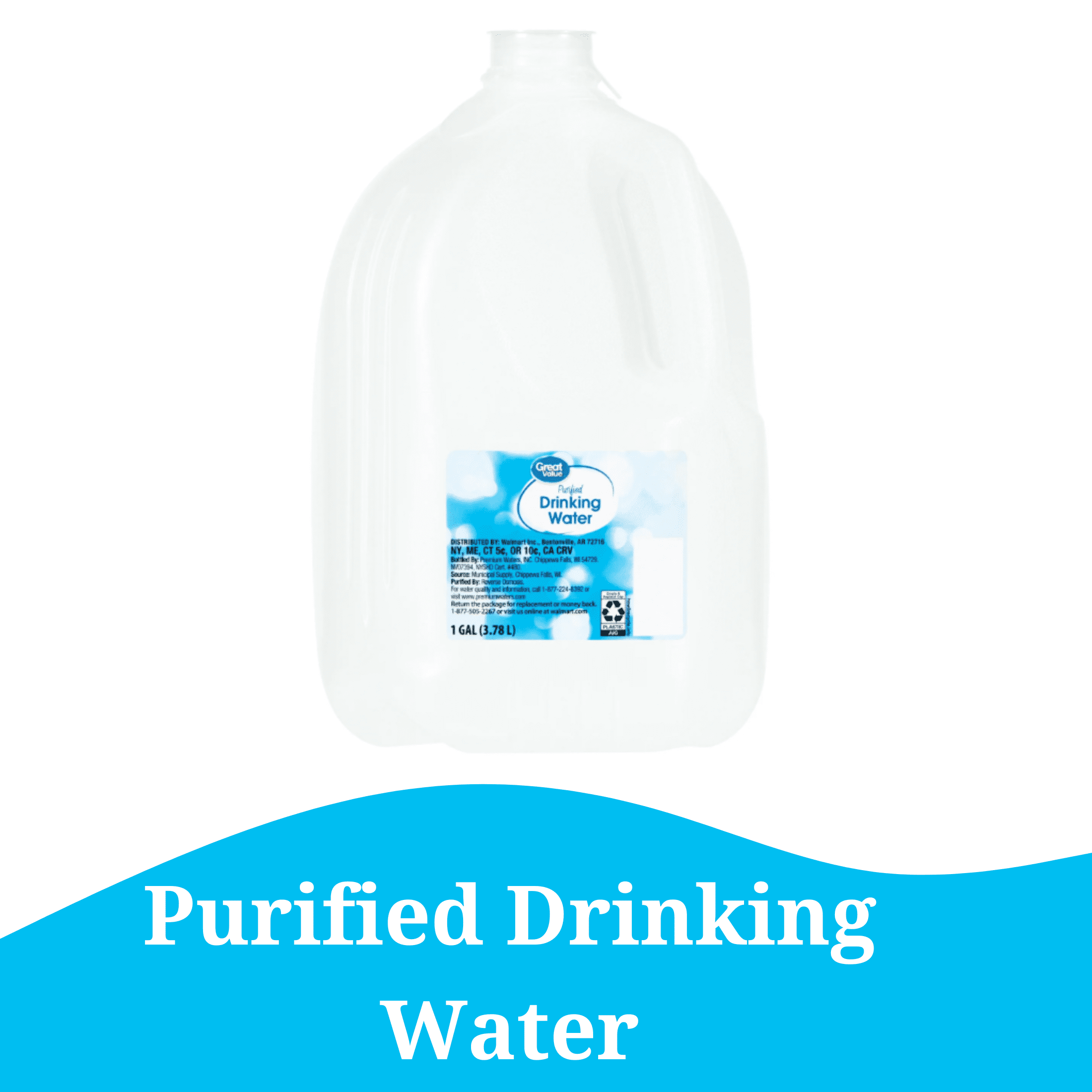 Great Value Purified Drinking Water 1 gal Single Jug
