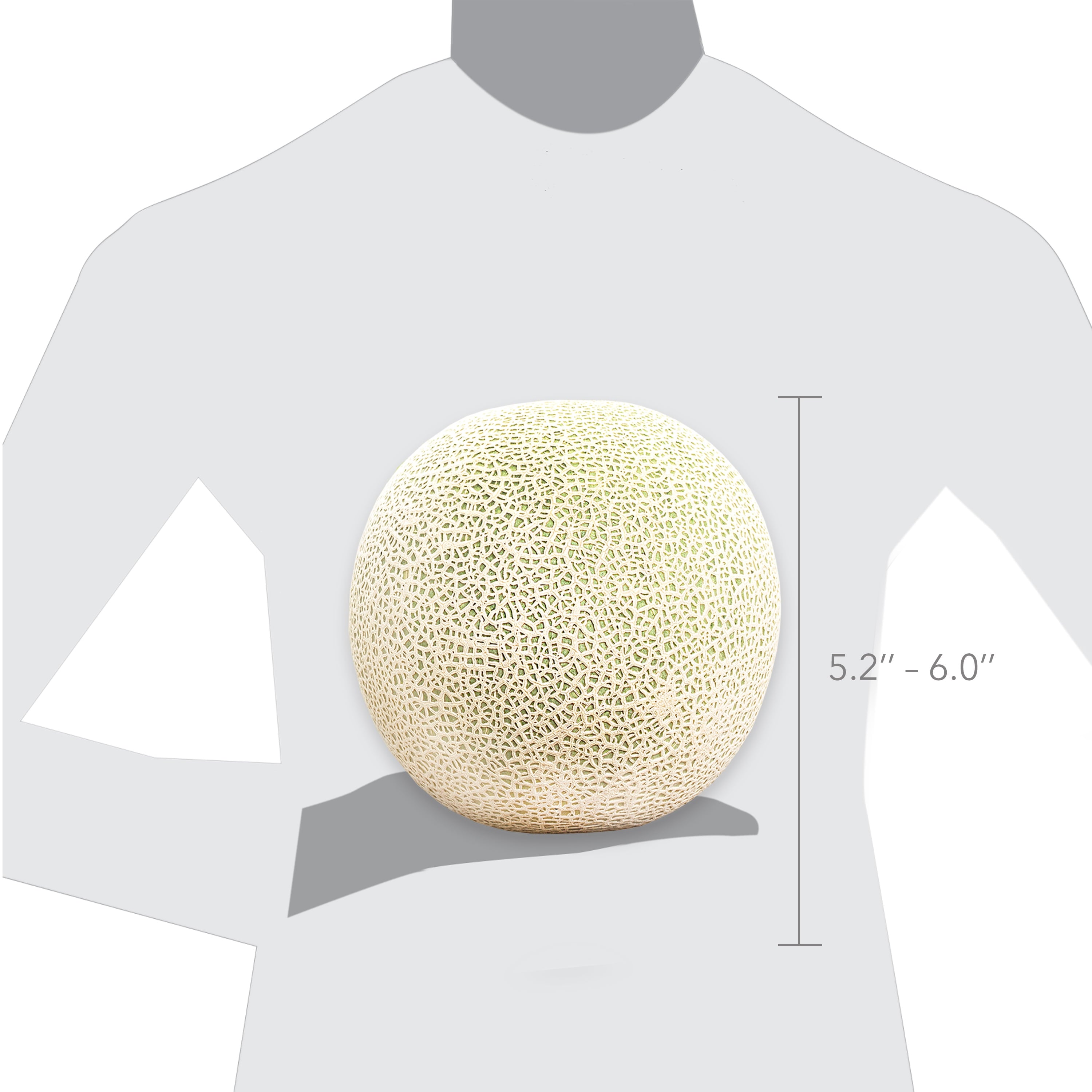 Fresh Cantaloupe Each