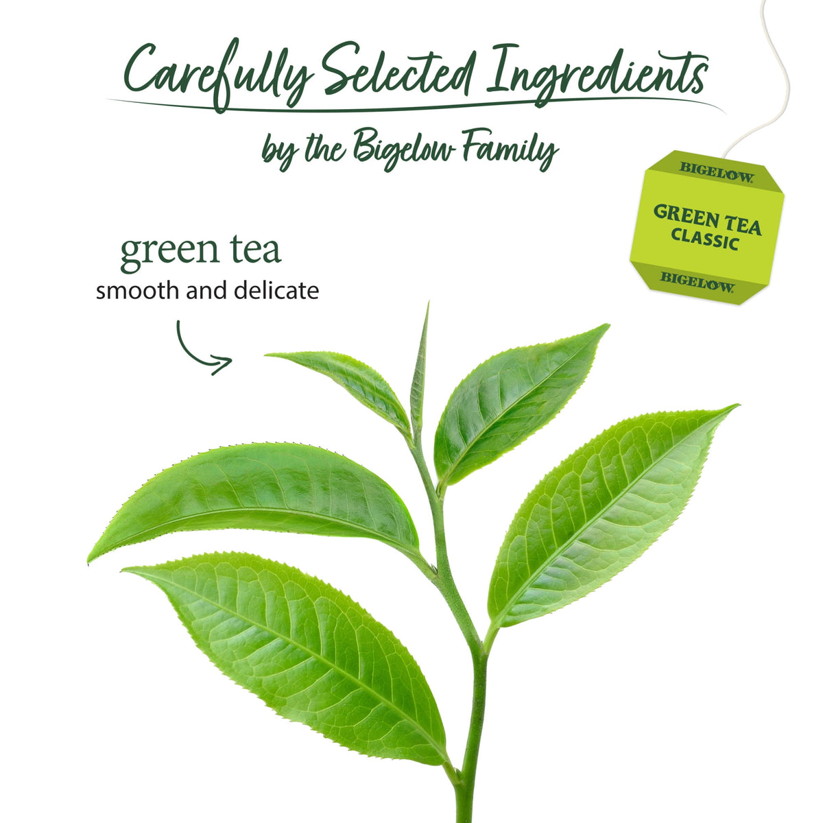Bigelow Tea Classic Green Tea Bags 20 Count