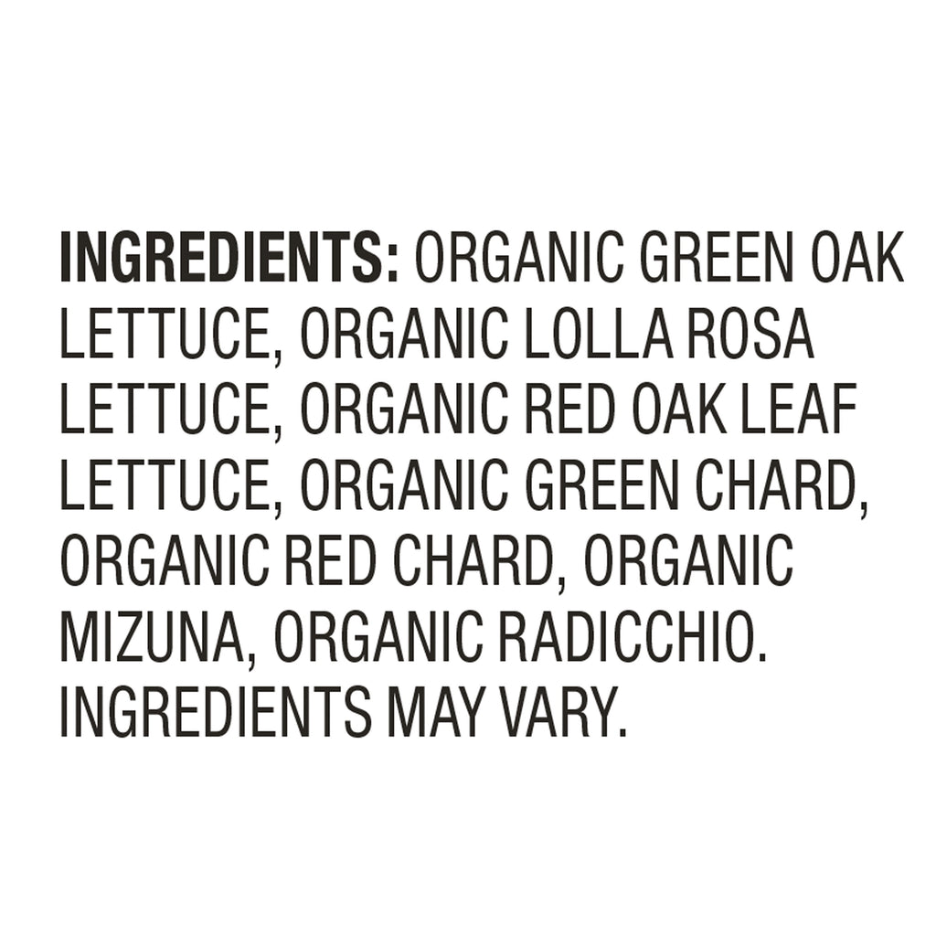 Fresh Organic Spring Mix Salad Blend 16 Oz Clam Shell