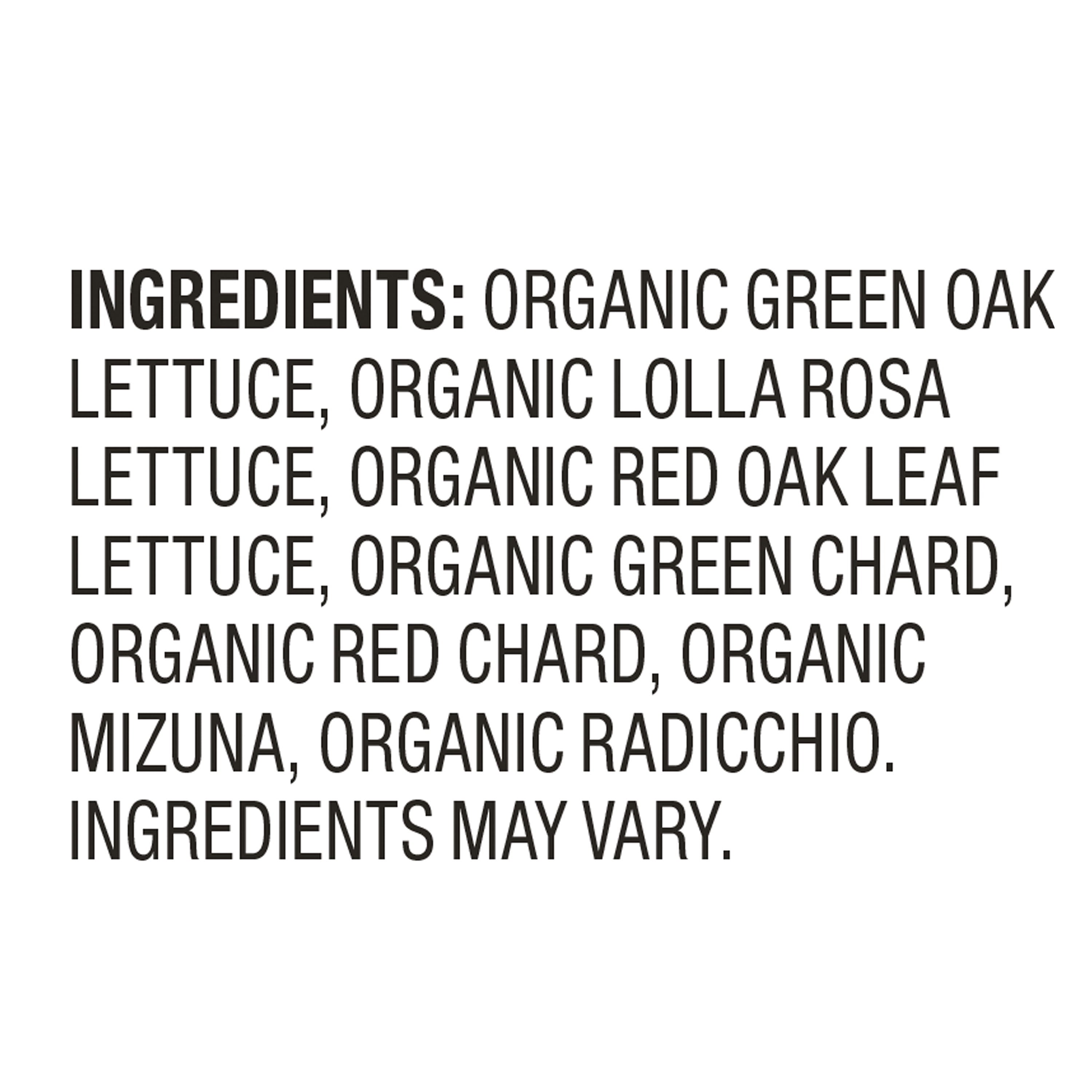 Fresh Organic Spring Mix Salad Blend 16 Oz Clam Shell