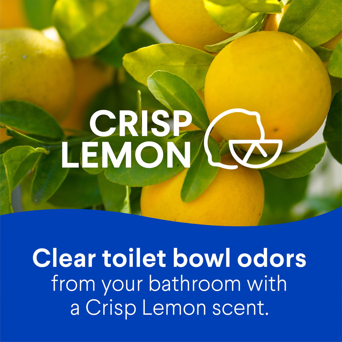 Clorox Toilet Bowl Cleaner Clinging Bleach Gel Crisp Lemon 24 fl oz