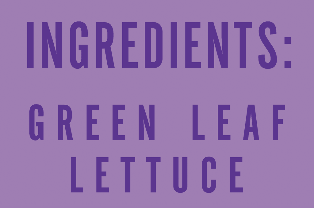 Little Leaf Farms Sweet Baby Butter Leaf Lettuce 4 Oz Clam Shell