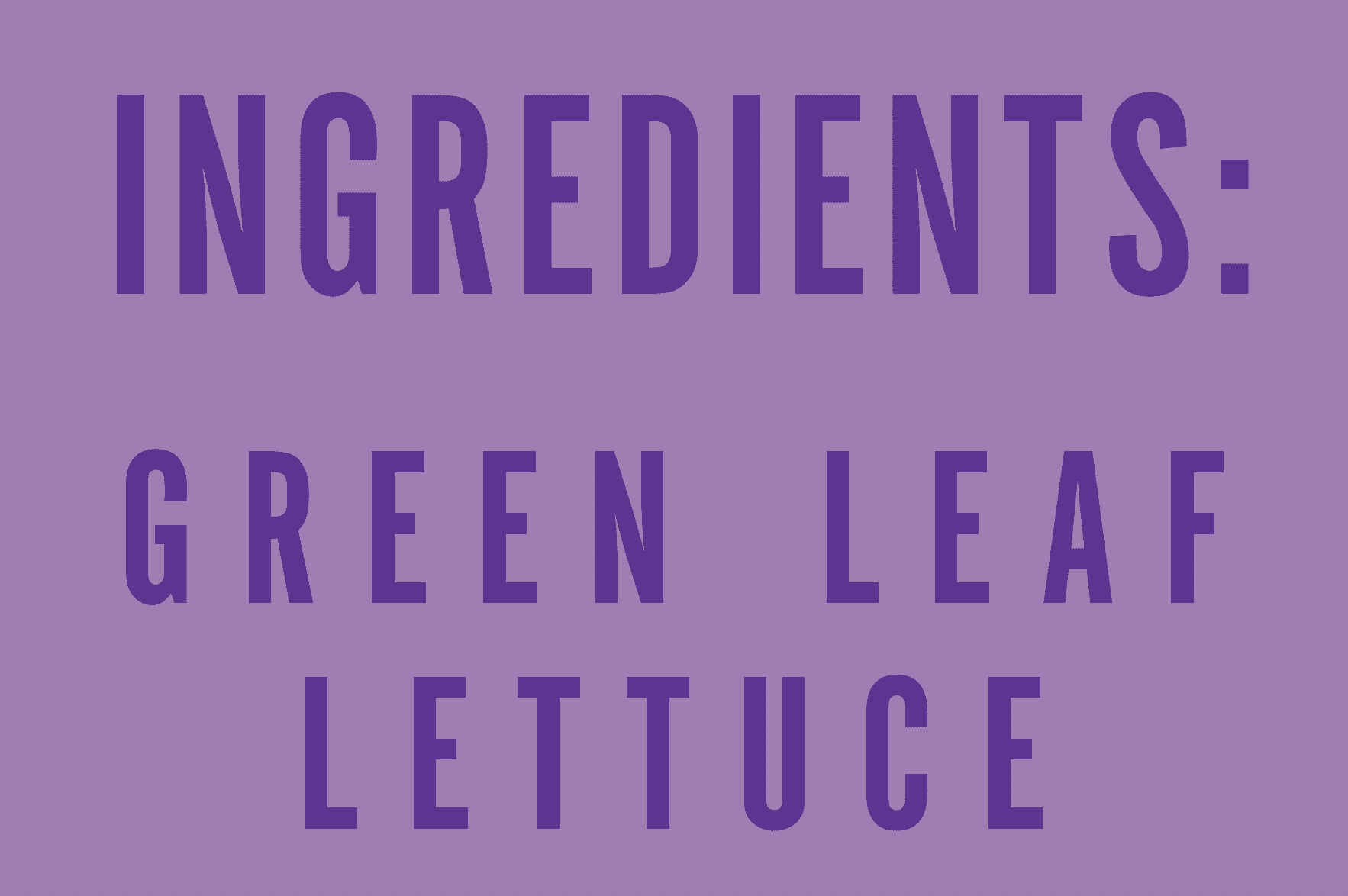 Little Leaf Farms Sweet Baby Butter Leaf Lettuce 4 Oz Clam Shell