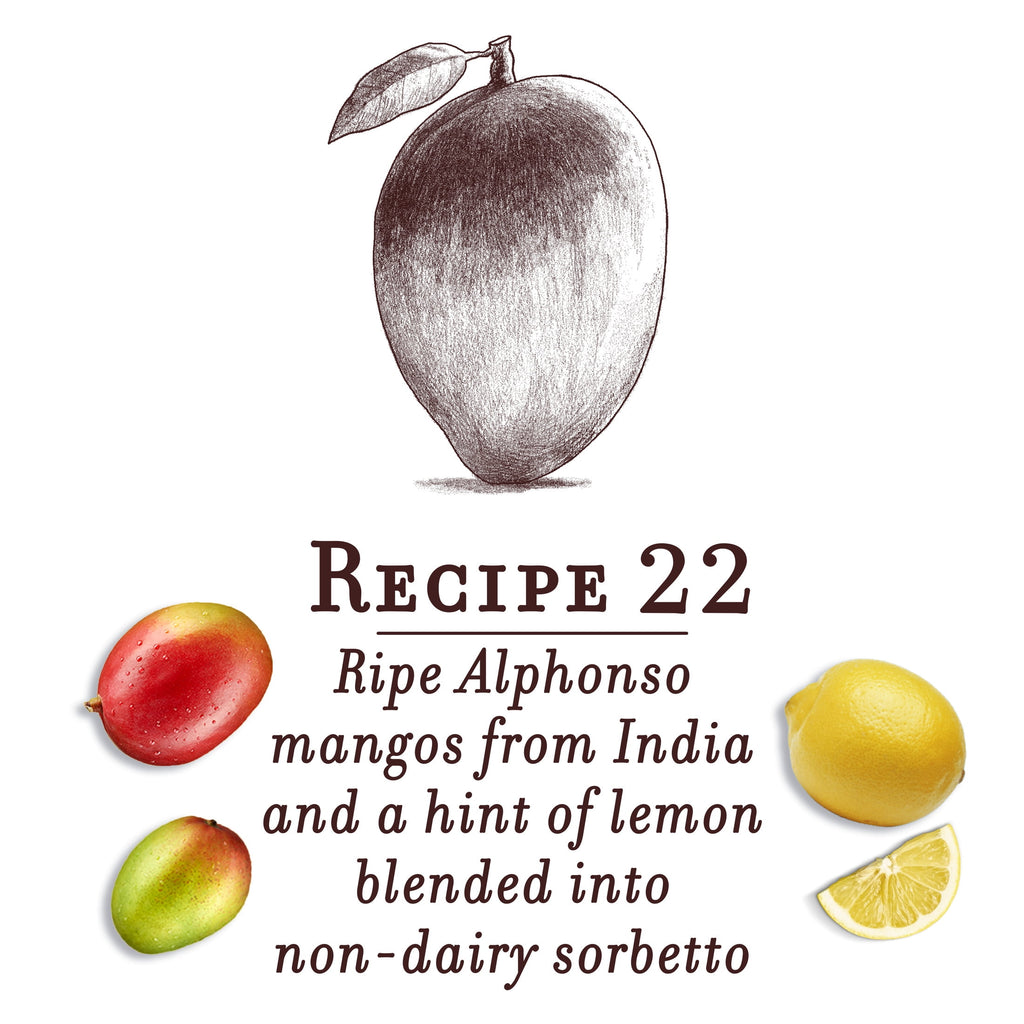 Talenti Dairy-Free Alphonso Mango Sorbet Frozen Dessert 16 Oz