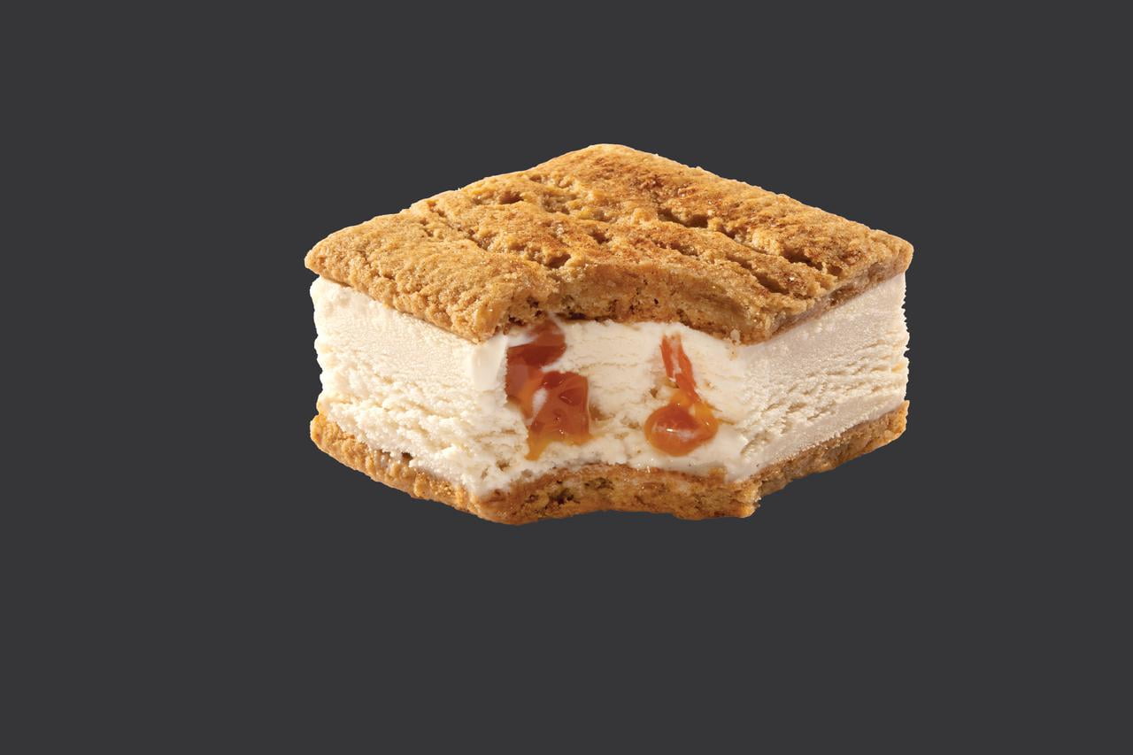 FatBoy Cinnamon Churro Ice Cream Sandwiches 4 Count 16 Fl Oz