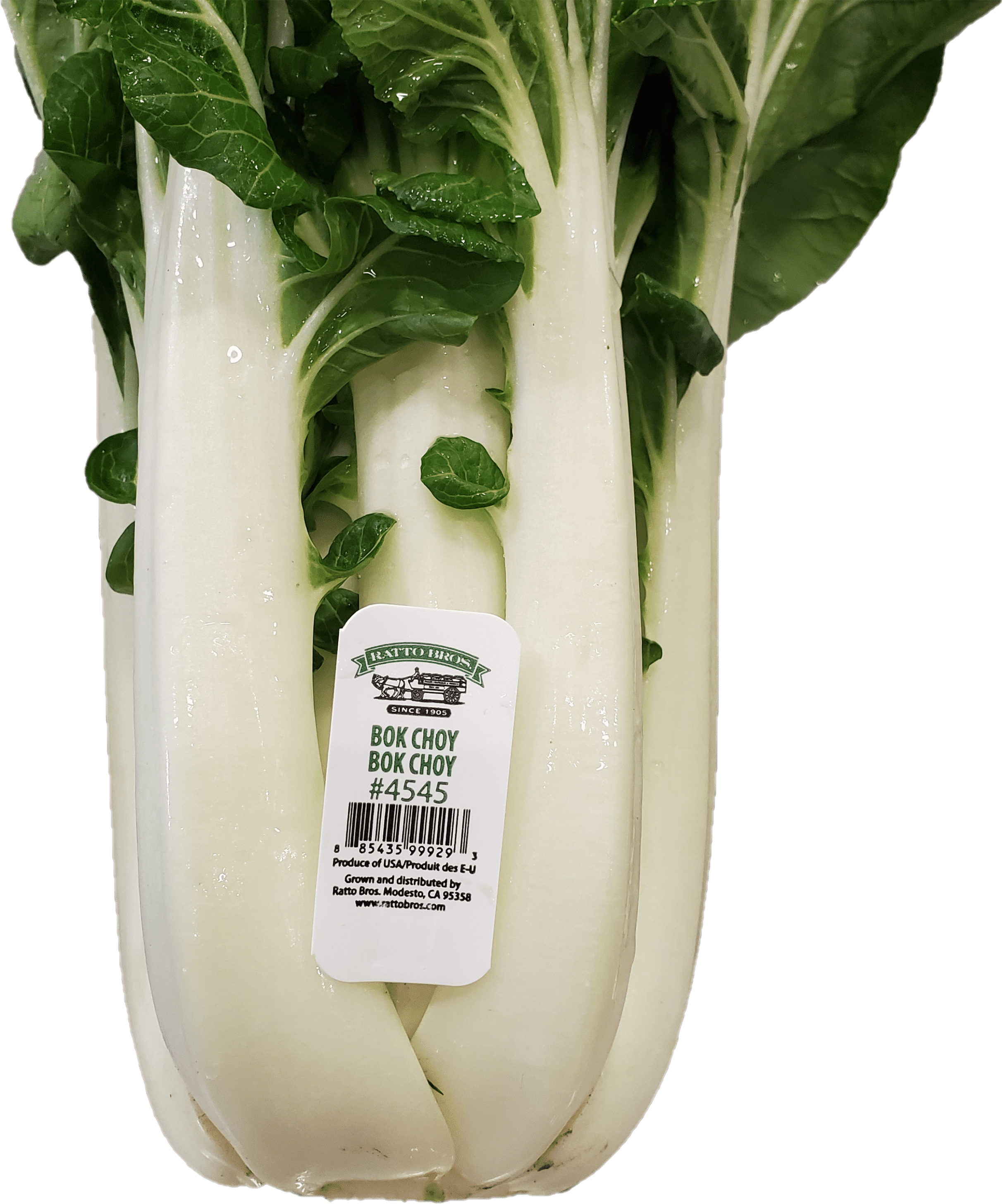 Fresh Whole Bok Choy Each