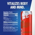 Red Bull Red Edition Energy Drink Watermelon 12 fl oz 4 Pack Cans