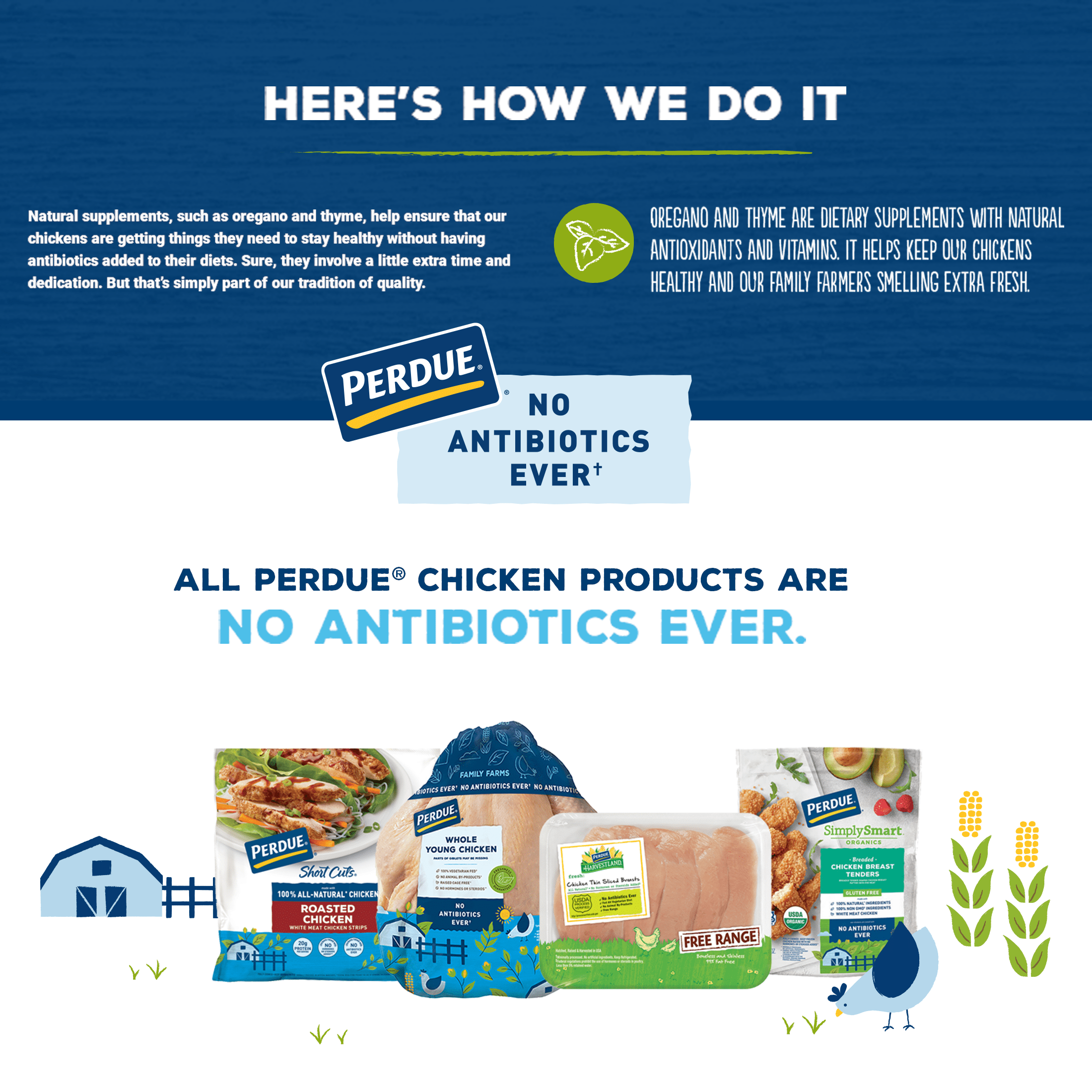 Perdue Simply Smart Organics Gluten Free Breaded Chicken Breast Tenders Frozen 22 Oz