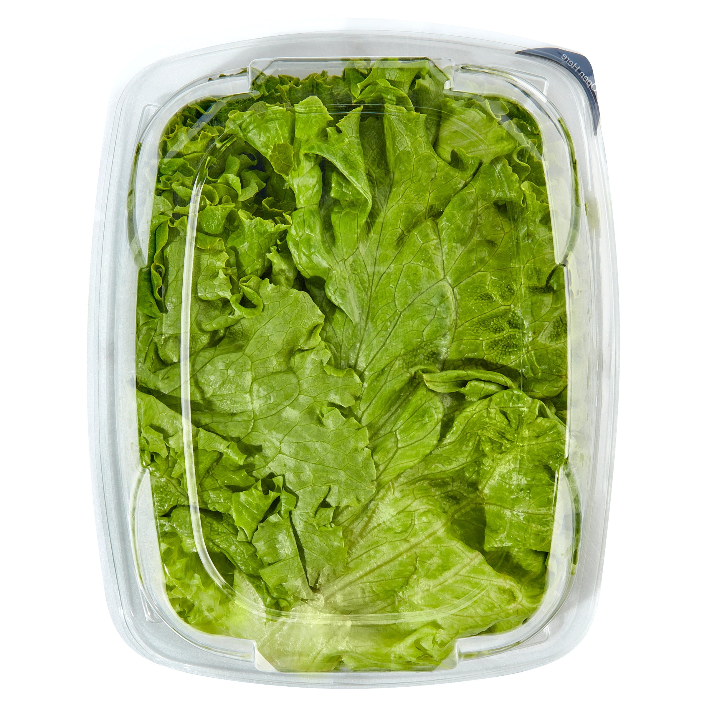 Green Leaf Lettuce Filet 7 Oz