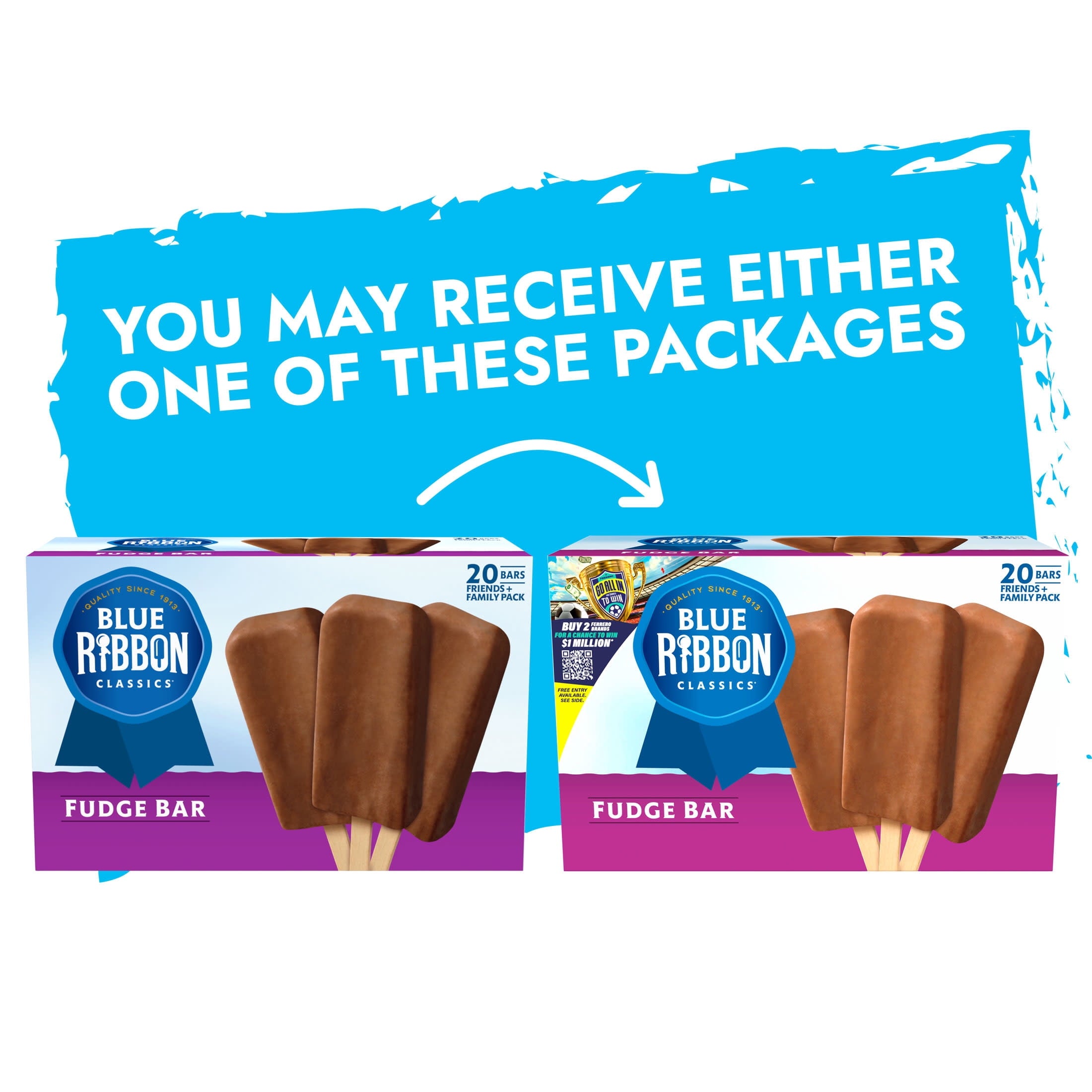 Blue Ribbon Classics Fudge Frozen Dessert Bars 20 Count 45 Fl Oz