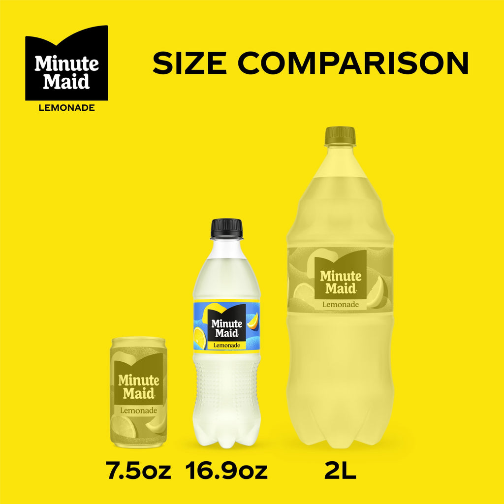Minute Maid Lemonade 16.9 fl oz Bottles 6 Pack