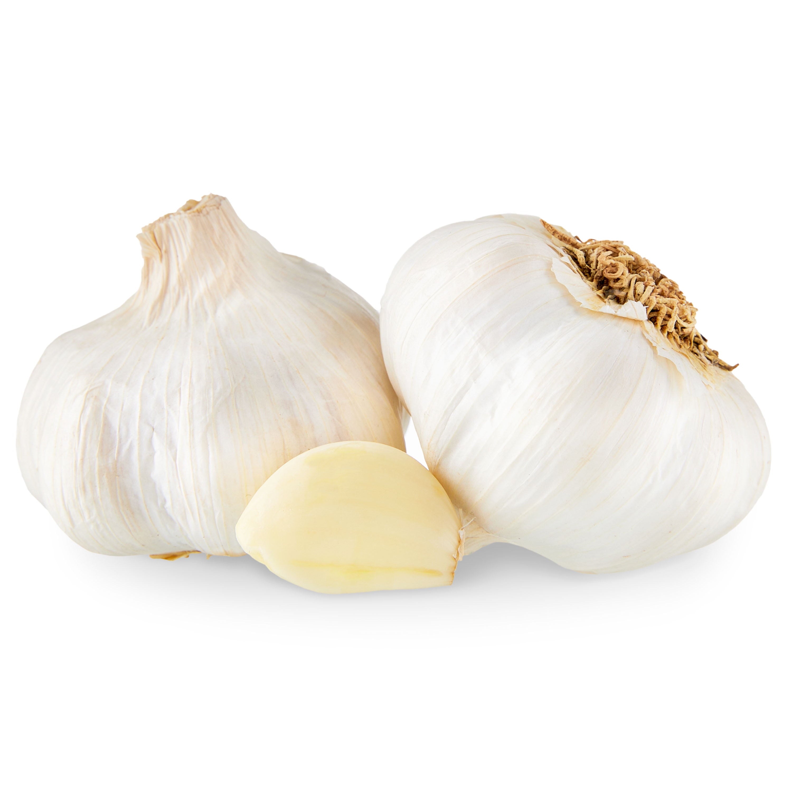 Fresh Garlic Bulb Whole Each