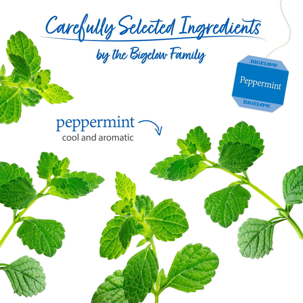 Bigelow Tea Peppermint Caffeine-Free Herbal Tea Bags 20 Count