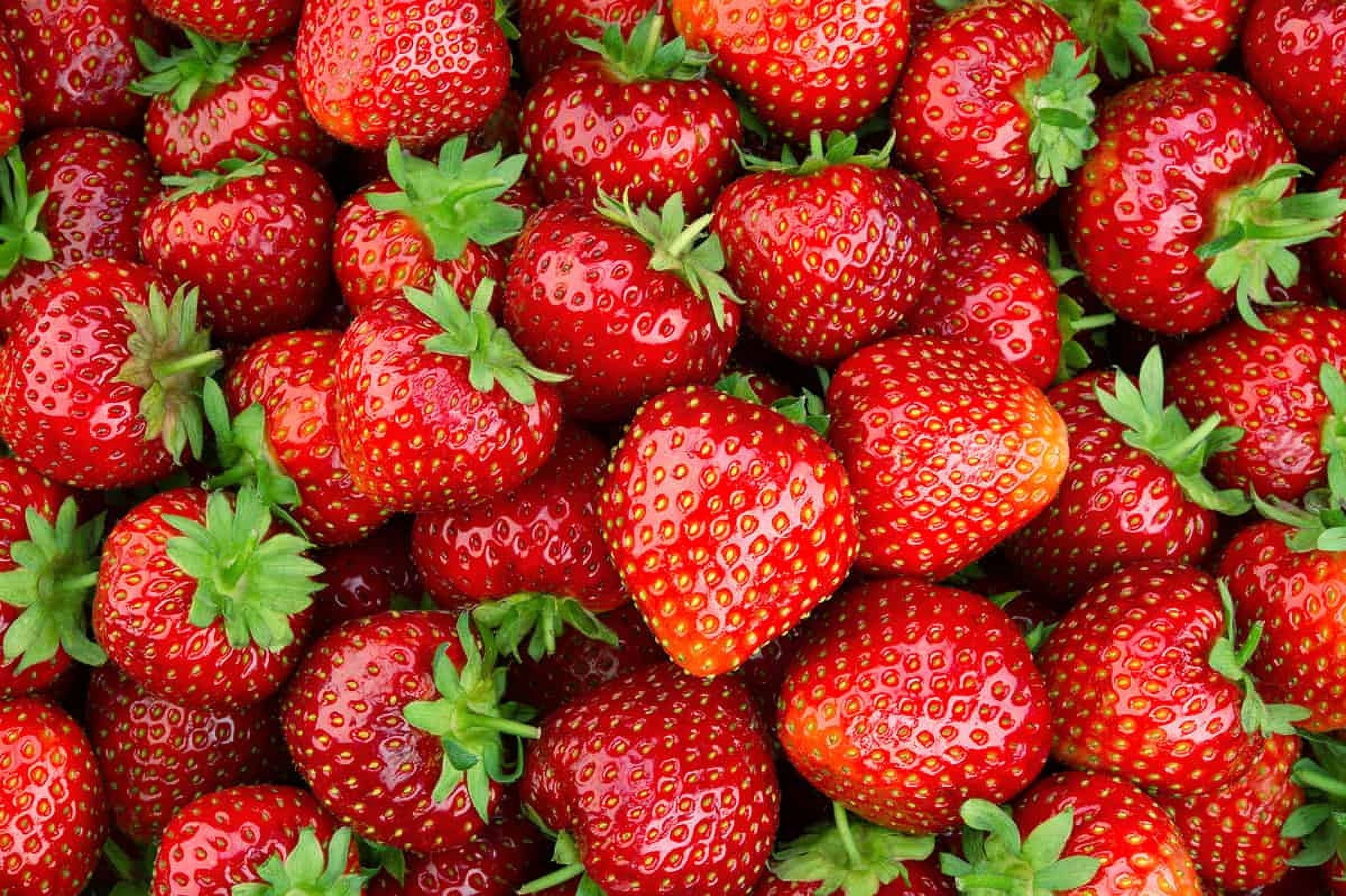 Fresh Strawberries 1 Lb Container