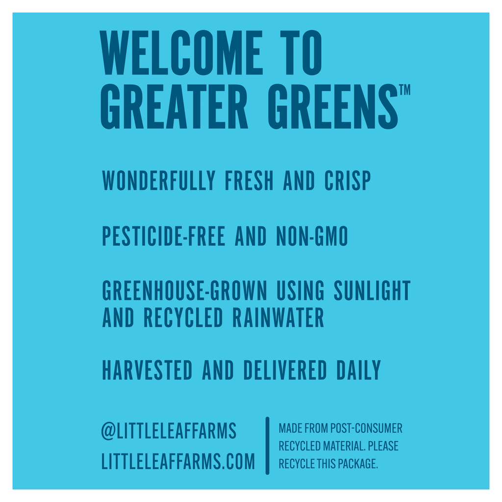 Little Leaf Farms Baby Crispy Green Leaf Salad 4 Oz Clam Shell